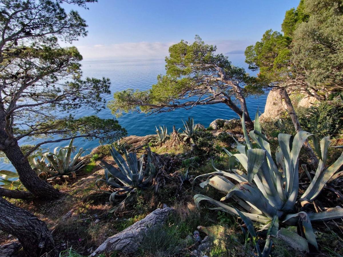 Apartment Villa Mirna Makarska Eksteriør bilde