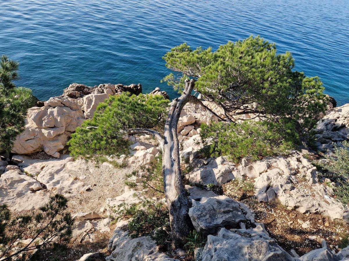 Apartment Villa Mirna Makarska Eksteriør bilde