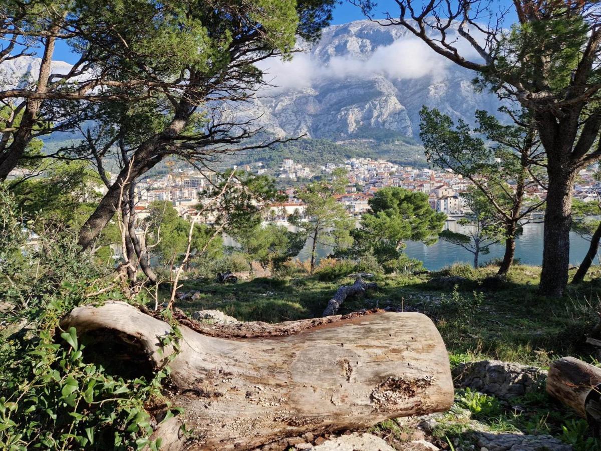 Apartment Villa Mirna Makarska Eksteriør bilde